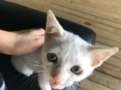 -包玉刚游泳场(黄龙恒励大厦店)