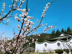 -威海华夏城景区