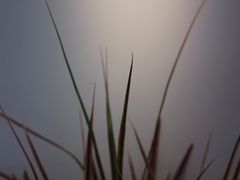 -Fridi Patisserie Cafe