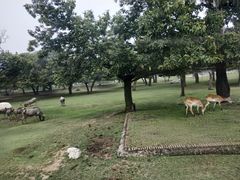 -西安秦岭野生动物园