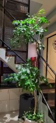 -香秀空间科技抗衰·美容中心