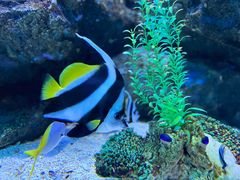 -海合安成都极地海洋公园