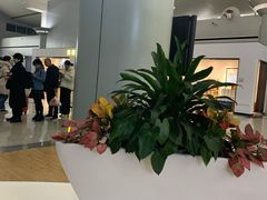 -长沙黄花国际机场-T1航站楼