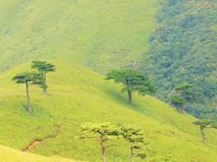 -萍乡武功山风景名胜区