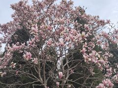 -洛阳市隋唐城遗址植物园