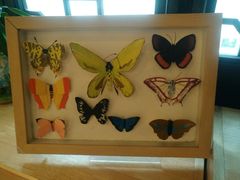 -猫的天空之城概念书店(杭州南宋御街店)