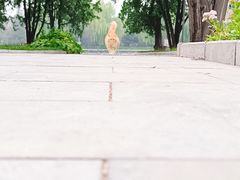 -北京市劳动人民文化宫(太庙)