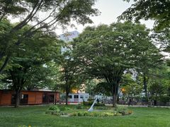 -大通公园