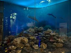 -浙江自然博物院(杭州馆)
