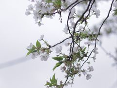 -明蜀王陵(地铁站)