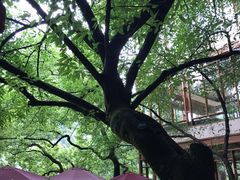 -柏联酒店