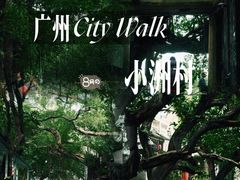 -小洲村