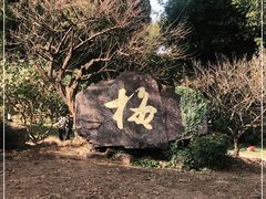 -无锡梅园公园