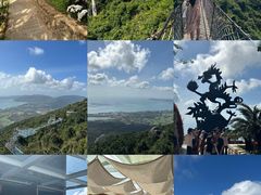 -亚龙湾热带天堂森林公园