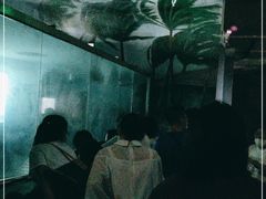 -巴克创奇梦工厂