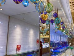-T11生鲜超市(朝阳公园店)