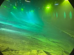 -白鹤梁水下博物馆