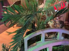 -长藤鬼校(钟楼店)