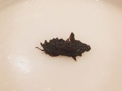 -粤珍轩.创始店.始于2001(含光门店)