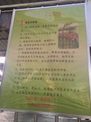 -七彩游乐园(奥体优托邦店)