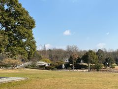 -宜兴龙背山森林公园