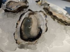 -Oyster Talks 四度蚝法餐厅