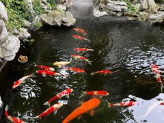 -鲤院·新中式美学·庭院餐厅(夫子庙店)
