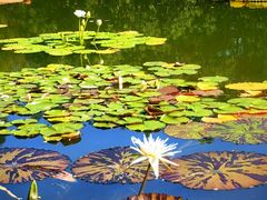 -国家植物园南园