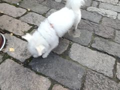 -龙潭水乡