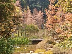 -云溪植物园