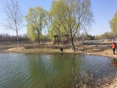 -大兴滨河森林公园