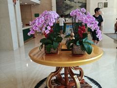 -上海吉臣维景酒店·维多利亚餐厅