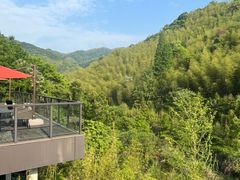 -宁海安岚·南溪阁全日餐厅