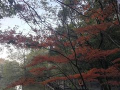 -白马涧龙池景区