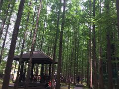 -南京金牛湖风景区