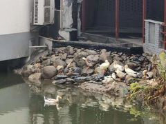 -雅和生态渔庄·宜城锅巴饭(龙灵山公园店)
