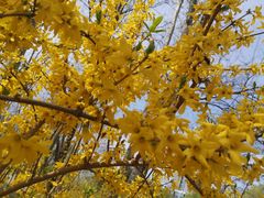 -大兴滨河森林公园