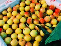 -菜园坝水果市场