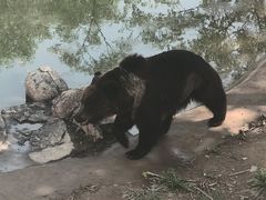 -石家庄市动物园