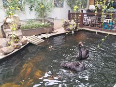 景观位-湖鲜楼