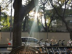-夏朵花园(复兴西路店)