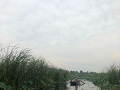 -白洋淀景区