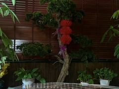 -臻享养生·SPA·影院式足道(汇臻店)