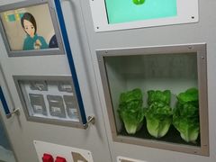 -苏州青少年科技馆