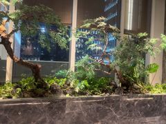 -海立阁海鲜江浙菜(漕河泾印象城店)