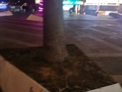 -中南南通体育会展中心