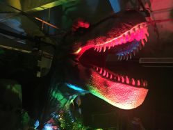 -恐龙探索乐园(磁器口店)