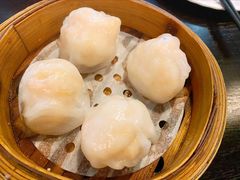 添运来虾饺皇-添运来(茶园奥园广场店)