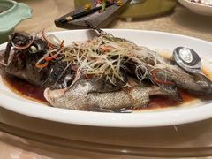 -新希望诺富特酒店-青岛湾中餐厅
