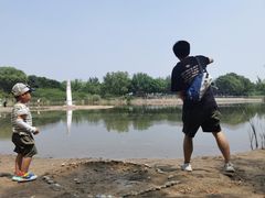 -永定河休闲森林公园